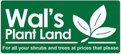 Wals Plant Land 